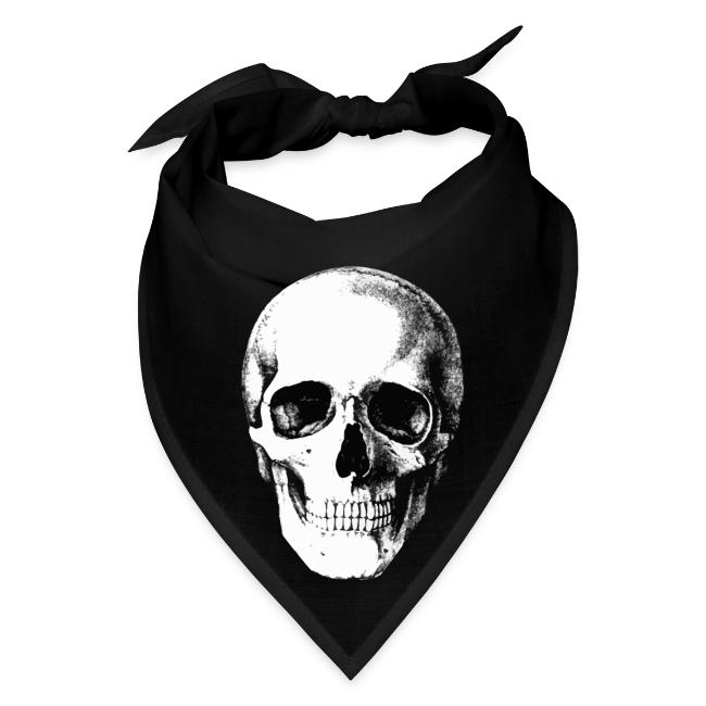 Human Skull