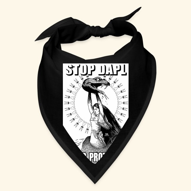 STOP DAPL Water Protector