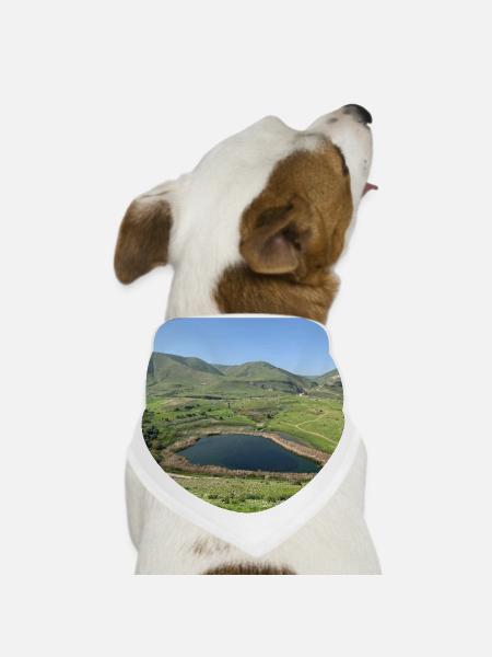 Green Valley Pond Nature Landscape Photography - Dog Bandana - white - Front