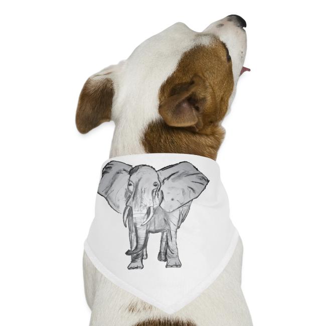 Big Elephant