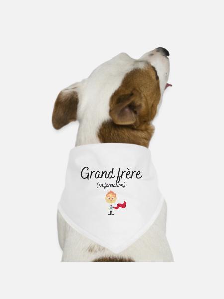 Grand frère en formation t-shirt futur grand frere - Bandana pour chien - blanc - Devant