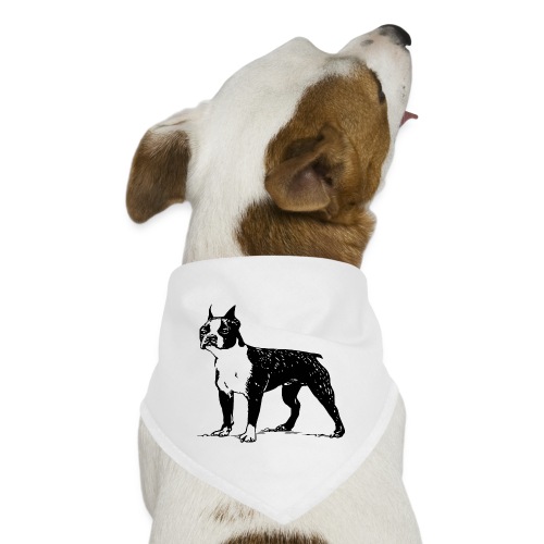 Cute Boston Terrier Dog - Dog Bandana