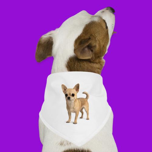 Chihuahua - Dog Bandana