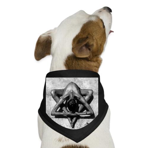 King David's Legacy - Dog Bandana