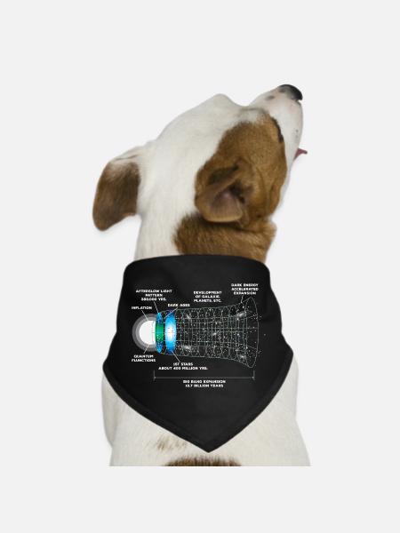 Astrophysics Big Bang - Dog Bandana - black