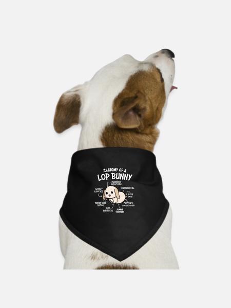 Holland Lop Bunny - Dog Bandana - black - Front