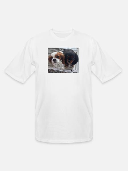 Cavalier Duo on Bench - Men's Tall T-Shirt - white