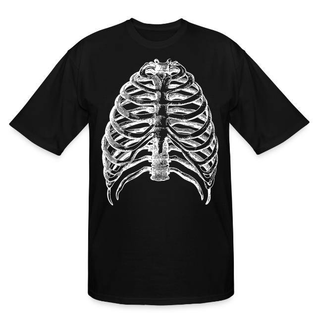 Human Rib Cage