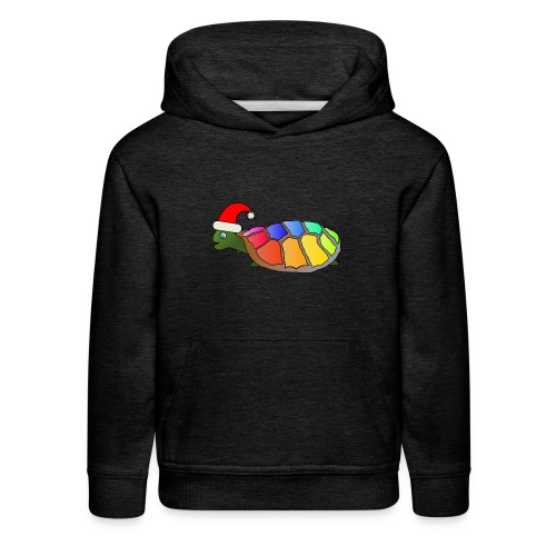 Rainbow Turtle - Kids‘ Premium Hoodie