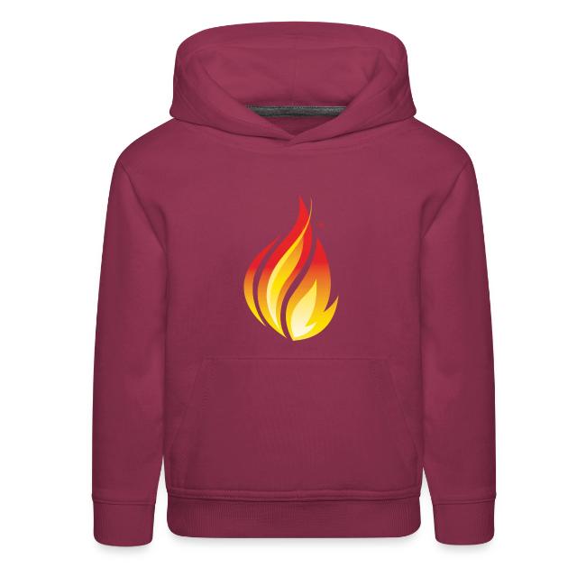 HL7 FHIR Flame Logo