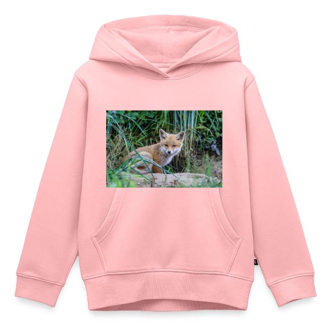 fox