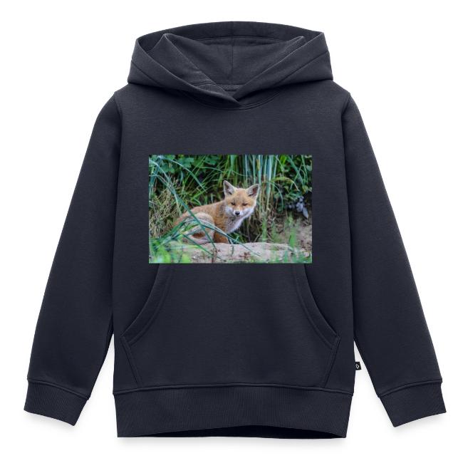 fox