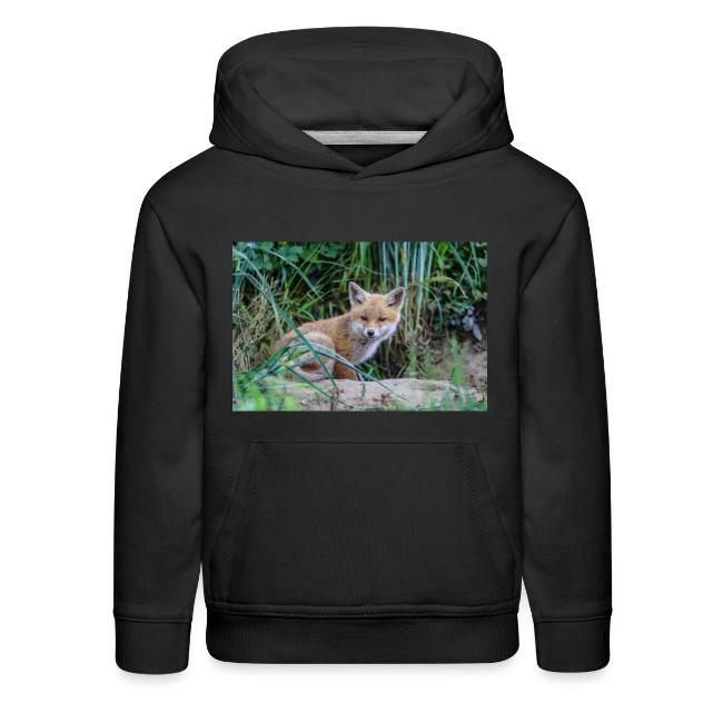fox