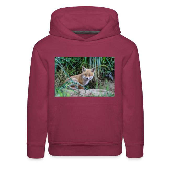 fox