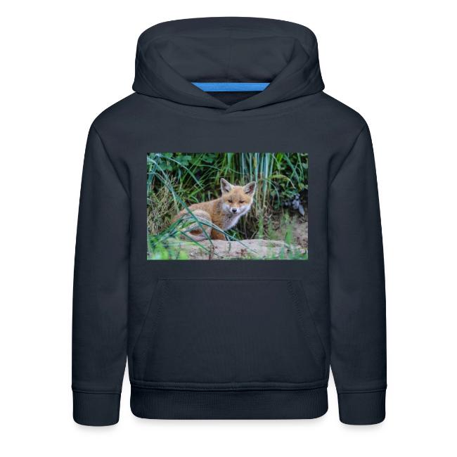 fox