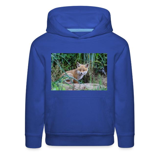 fox