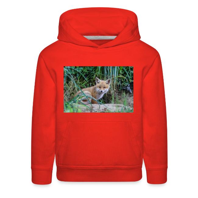 fox