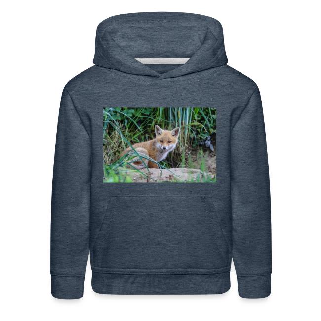 fox
