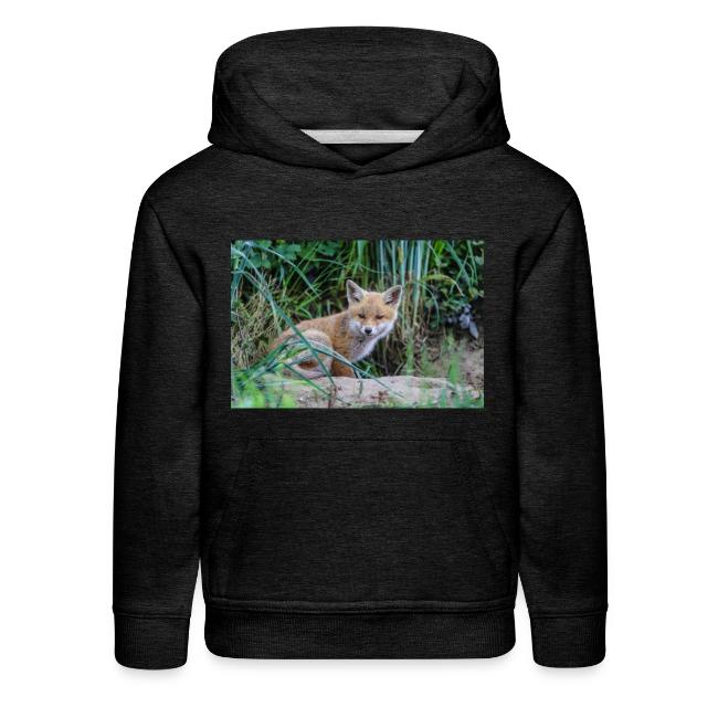 fox