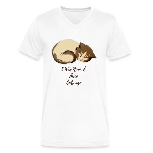 I Was Normal Three Cats Ago Funny Cat T-Shirt - Men's V-Neck T-Shirt by Bella + Canvas