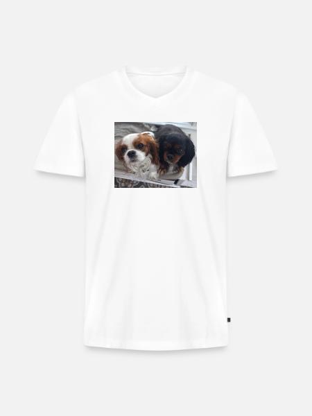 Cavalier Duo on Bench - Men's Premium Organic V-Neck T-Shirt - white
