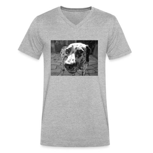Lucky Dog - Men's V-Neck T-Shirt by Canvas