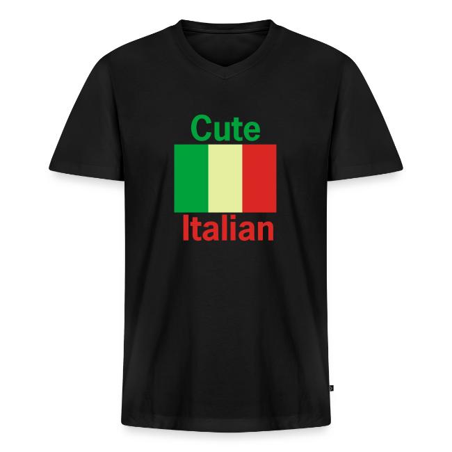 cute italian flag 3 colors