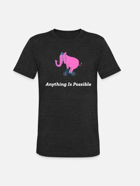 Anything Is Possible - Unisex Tri-Blend T-Shirt - heather black