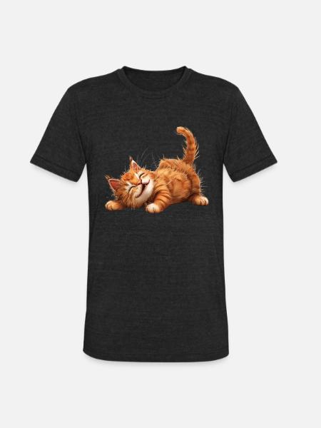 Funny Cat - Unisex Tri-Blend T-Shirt - heather black