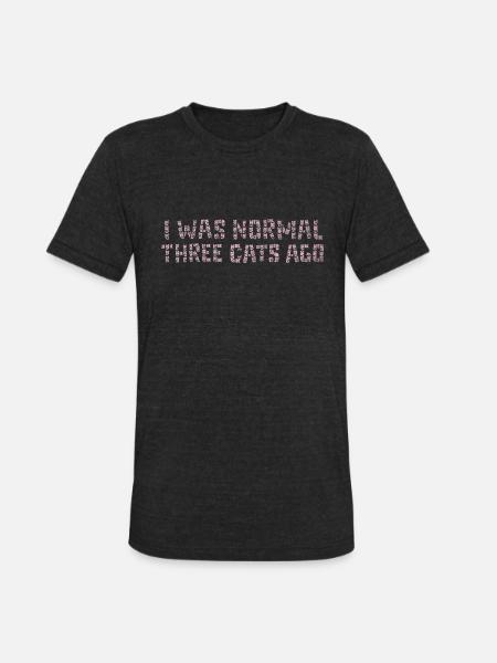 I Was Normal - Unisex Tri-Blend T-Shirt - heather black