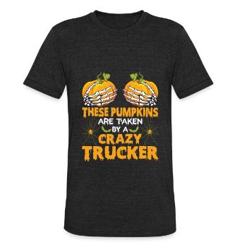Taken By A Crazy Trucker Pumpkin Boobs - Unisex Tri-Blend T-Shirt - heather black - Front - Brady (186cm)