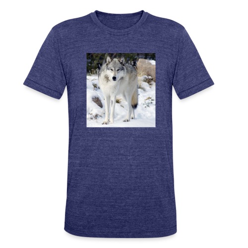 Canis lupus occidentalis - Unisex Tri-Blend T-Shirt