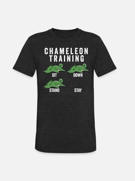 Chameleon Training - Unisex Tri-Blend T-Shirt - heather black