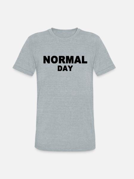 normal day - Unisex Tri-Blend T-Shirt - heather grey
