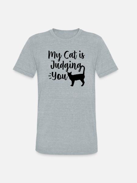 Funny Cat - Unisex Tri-Blend T-Shirt - heather grey