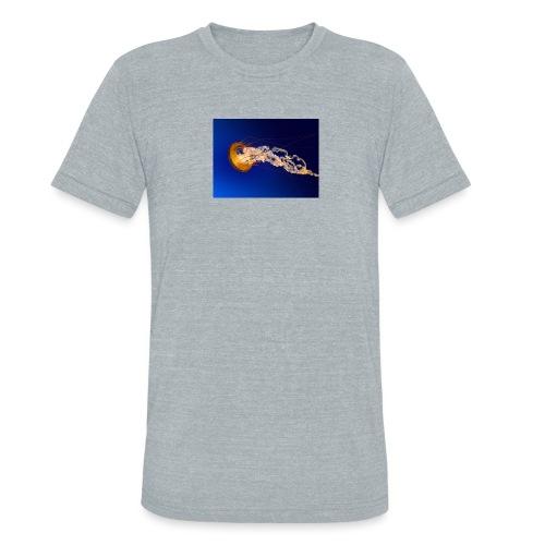 Jellyfish - Unisex Tri-Blend T-Shirt