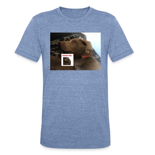 Finn Update - Unisex Tri-Blend T-Shirt