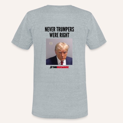 Never Trumpers Were Right - Unisex Tri-Blend T-Shirt