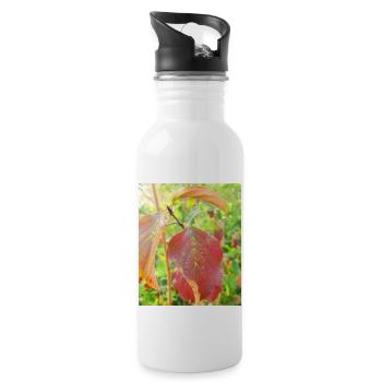 Autumn is coming flowers green orange yellow Great - 20 oz Water Bottle - white - Right