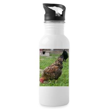 Rustic Farmyard Chicken Illustration - 20 oz Water Bottle - white - Right