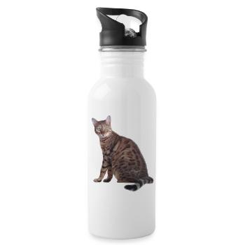 Bengal Cat - 20 oz Water Bottle - white - Right