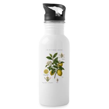 Lemon Tree Vintage Botanical Branch - 20 oz Water Bottle - white - Right