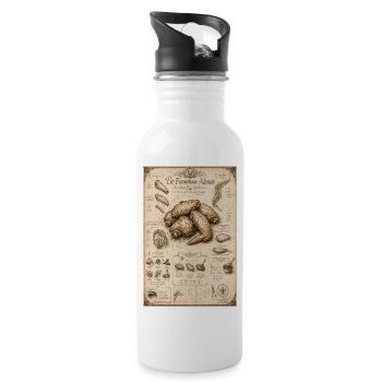 Vintage Potato Anatomy Chart - 20 oz Water Bottle - white - Right