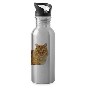 Orange Tabby Portrait - 20 oz Water Bottle - silver - Right