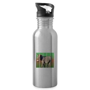 mini donkey - 20 oz Water Bottle - silver - Right