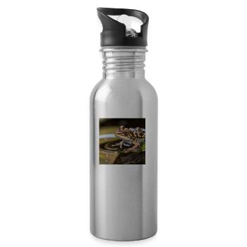 Rain frog" cute crazy leopard frog - 20 oz Water Bottle - silver - Right