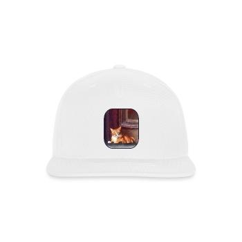 Orange Tabby in Doorway - Snapback Baseball Cap - white - Front