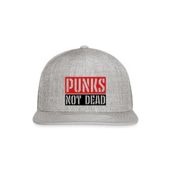 punks not dead quote - Snapback Baseball Cap - heather gray - Front