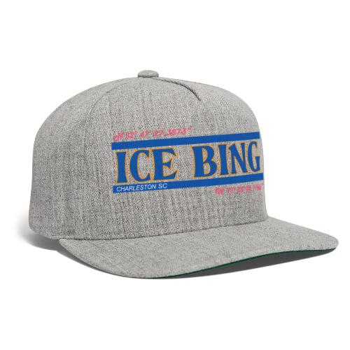ICE BING GPS - Snapback Baseball Cap