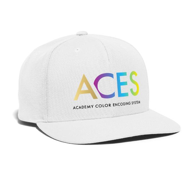 Academy Color Encoding System (ACES)